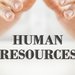 Nexus Consulting International - Consultanta resurse umane